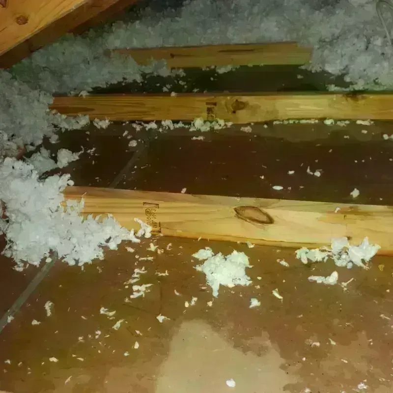 Attic Water Damage in Sunnyvale, TX