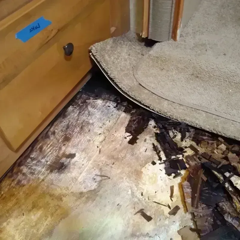 Wood Floor Water Damage in Sunnyvale, TX